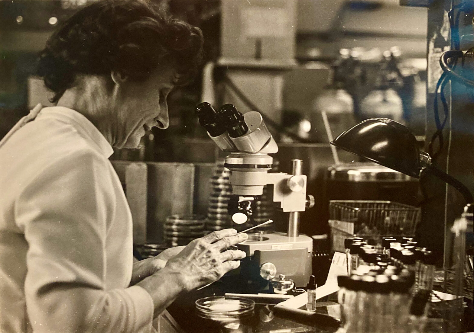 Pauline Gourlay working in her lab