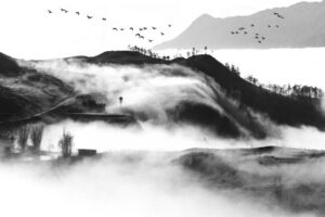 misty landscape with birds