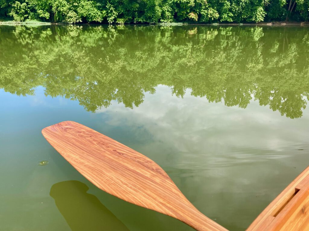 wooden otter tail paddle held over the surface of a calm river